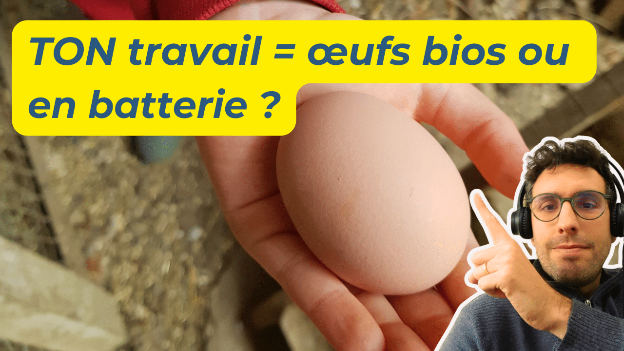 Lire la suite à propos de l’article Le poulailler de la Qualité de Vie et des Conditions de Travail (QVCT)